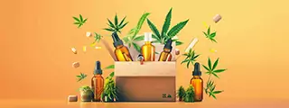 Pack de produit au CBD pour faire des économies